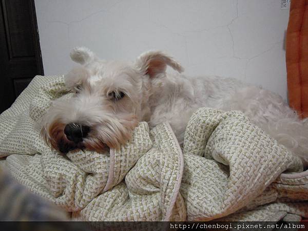 DSCN2207.JPG DSCN2207.JPG