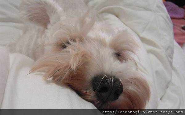 DSCN2223.JPG DSCN2223.JPG