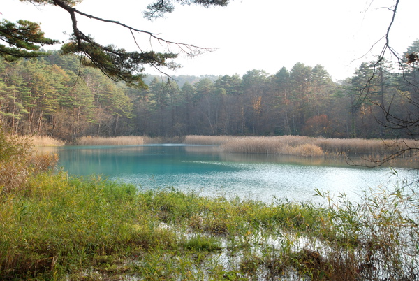 DSC_4232.JPG DSC_4232.JPG