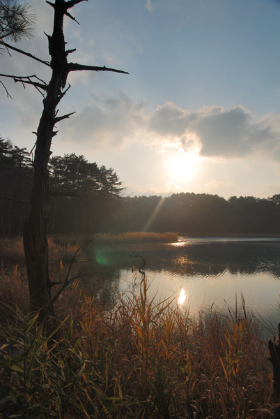 DSC_4296.JPG DSC_4296.JPG