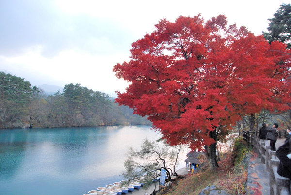 DSC_4354.JPG DSC_4354.JPG