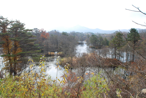 DSC_4493.JPG DSC_4493.JPG