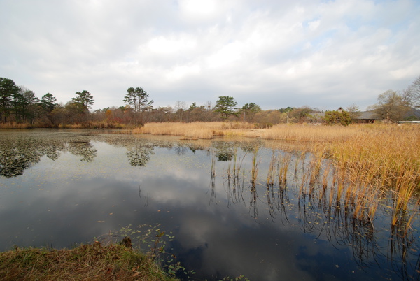 DSC_4525.JPG DSC_4525.JPG