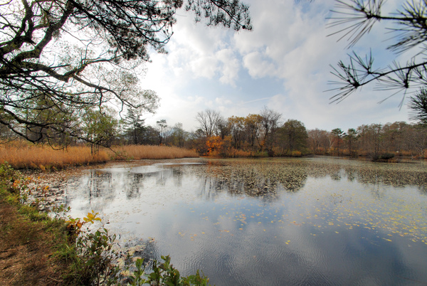 DSC_4530.JPG DSC_4530.JPG