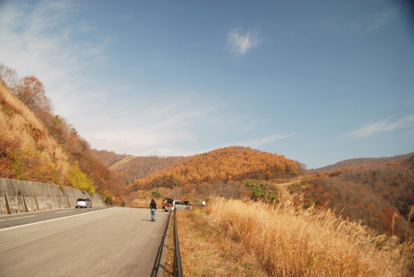 DSC_4578.JPG DSC_4578.JPG