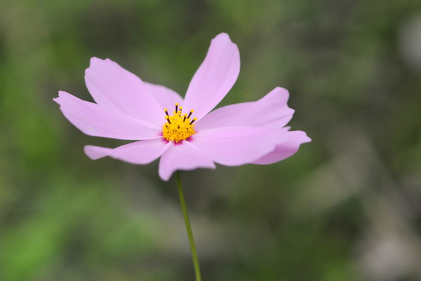 DSC_6547.JPG DSC_6547.JPG