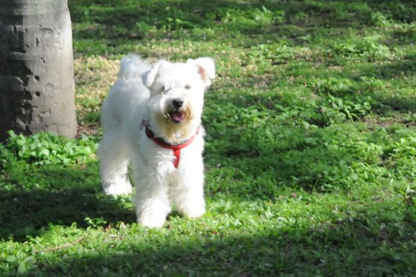 DSC_7335.jpg DSC_7335.jpg