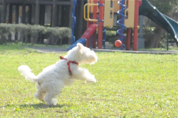 DSC_7346.jpg DSC_7346.jpg