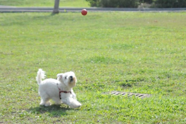 DSC_7349.jpg DSC_7349.jpg