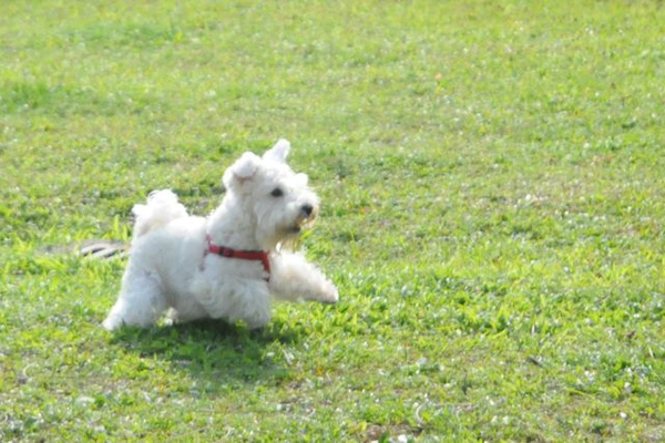 DSC_7350.jpg DSC_7350.jpg