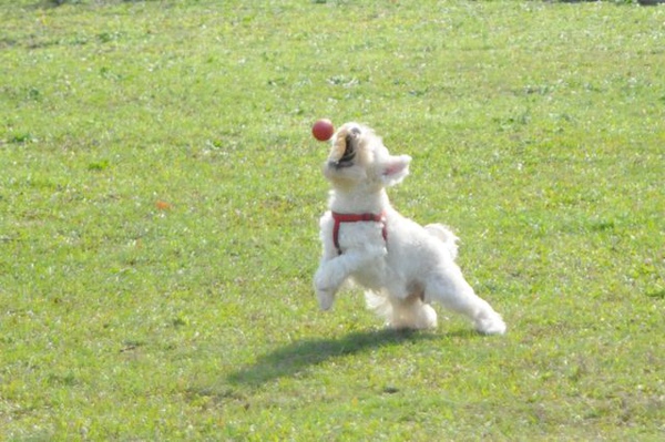 DSC_7353.jpg DSC_7353.jpg