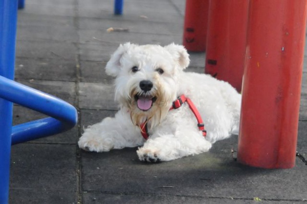 DSC_7365.jpg DSC_7365.jpg