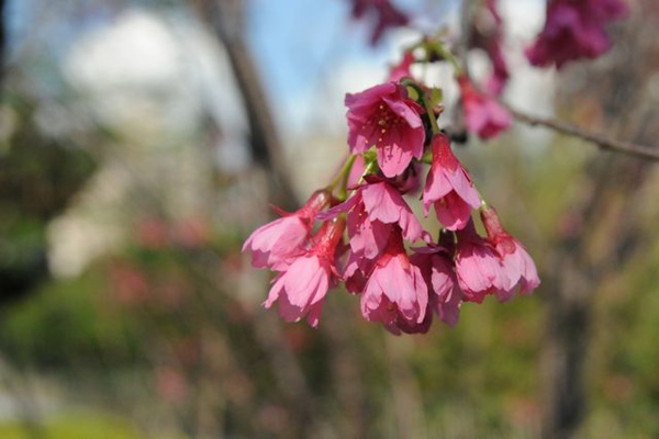 DSC_7397.jpg DSC_7397.jpg