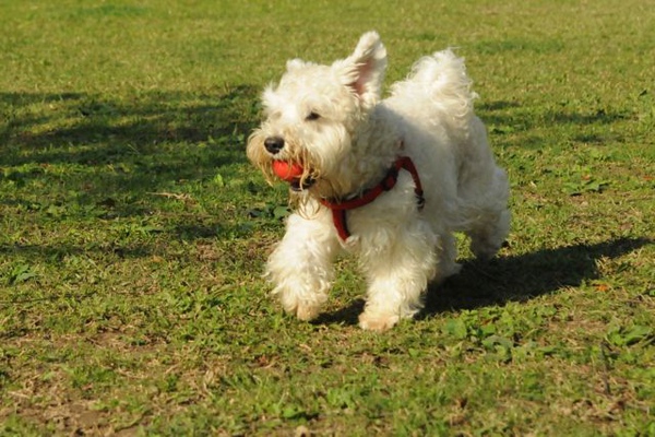 DSC_7407.jpg DSC_7407.jpg