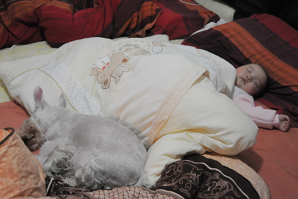 DSC_7947.JPG DSC_7947.JPG