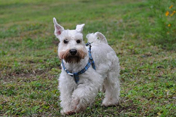 DSC_0473.JPG DSC_0473.JPG