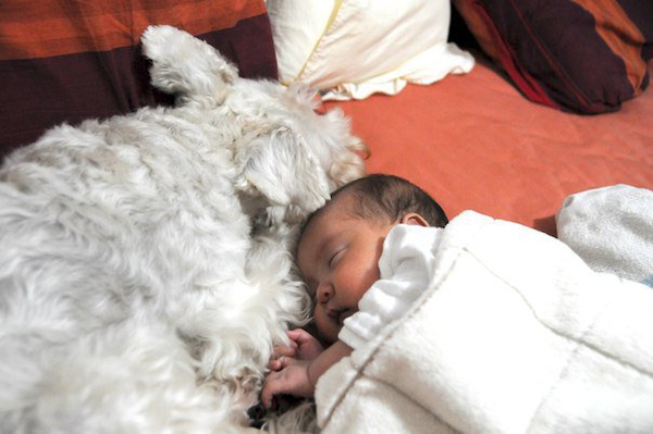 37859_1536081999222_1149997155_1569871_5006282_n.jpg 37859_1536081999222_1149997155_1569871_5006282_n.jpg