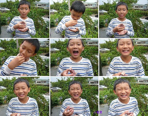 試吃香帥蛋糕 試吃香帥蛋糕