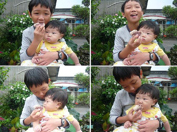 試吃香帥蛋糕 試吃香帥蛋糕