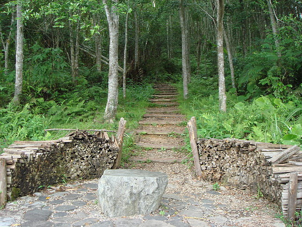 拳頭姆11.jpg 拳頭姆11.jpg