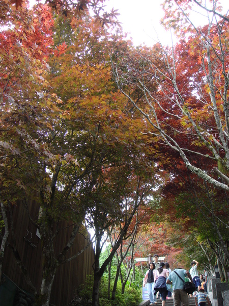 97年暑假太平山之旅9