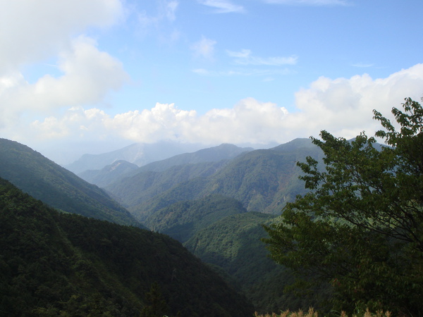 97年暑假太平山之旅19