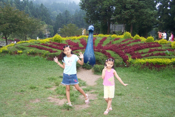 三義、清境之旅19