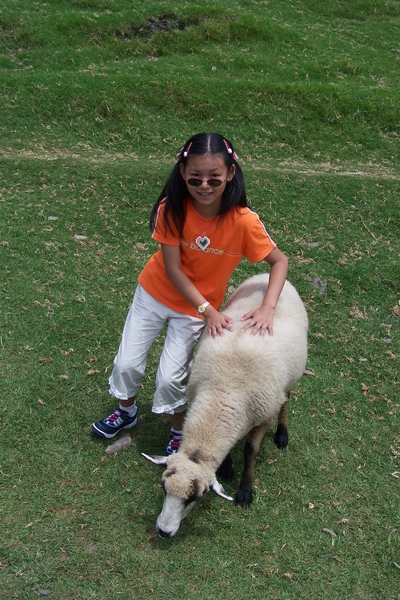 三義、清境之旅22