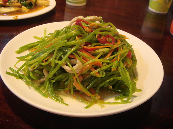 DSC06910.JPG DSC06910.JPG