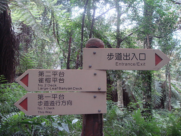 拳頭姆5.jpg 拳頭姆5.jpg