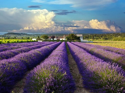 sRca5OcPdOI_5W7nbrh6MA