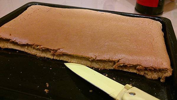 1395951_10200741012677445_1254892962_n