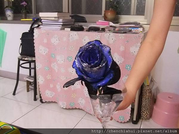 100-06-10 阿婷慶生宴 009.jpg 100-06-10 阿婷慶生宴 009.jpg