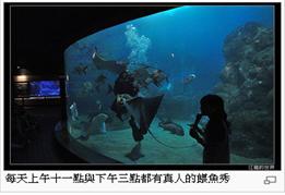 澎湖水族館1.jpg