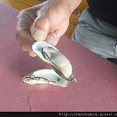 家族三日遊_澎湖 307.jpg