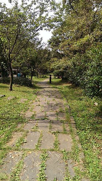 IMAG0889.jpg IMAG0889.jpg