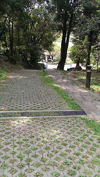 IMAG0892.jpg IMAG0892.jpg