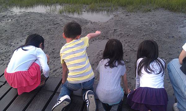 IMAG2806.jpg IMAG2806.jpg