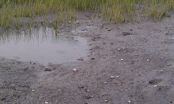 IMAG2808.jpg IMAG2808.jpg