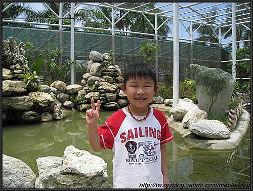 高雄景點┃金獅湖蝴蝶園:全台最大網室蝴蝶園,親子旅遊首選 - 第57張圖