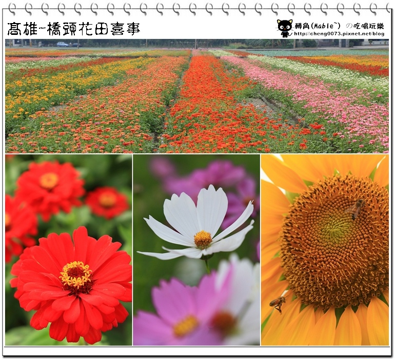 高雄景點┃橋頭花田喜事高雄:時效限定,逾時不候 (文末有橋頭必吃美食) - 第39張圖