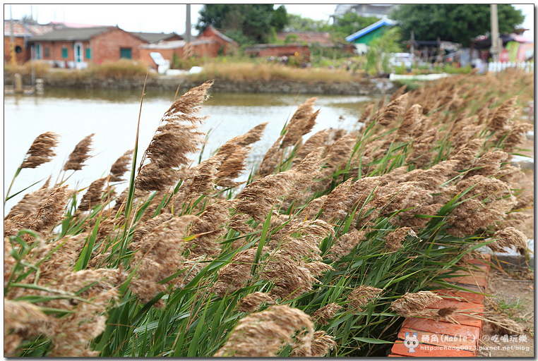 台南景點┃井仔腳瓦盤鹽田:北門第一座鹽田 - 第19張圖