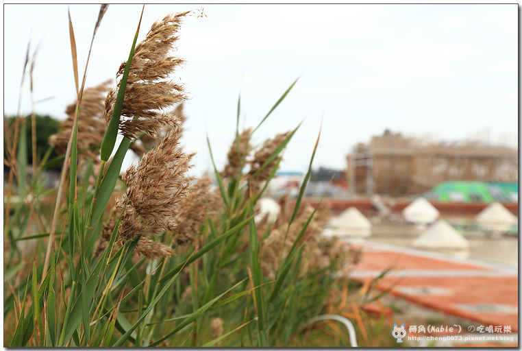 台南景點┃井仔腳瓦盤鹽田:北門第一座鹽田 - 第20張圖