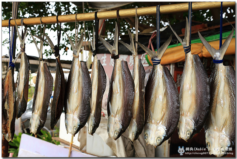 台南景點┃井仔腳瓦盤鹽田:北門第一座鹽田 - 第22張圖