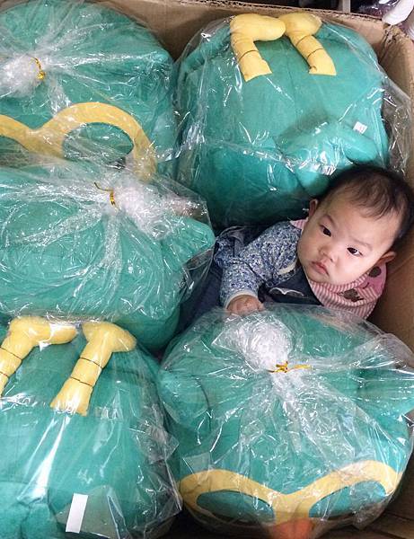 792409_447195718745735_68319803_o