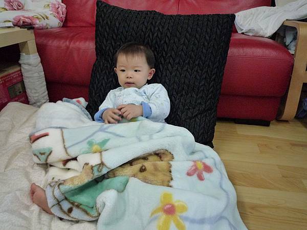 P1090006 P1090006