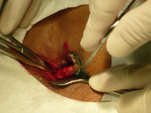 untitled2.bmp untitled2.bmp