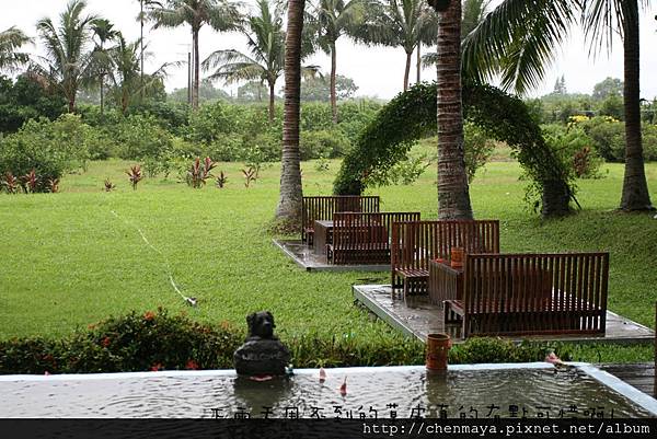 IMG_6595.JPG IMG_6595.JPG