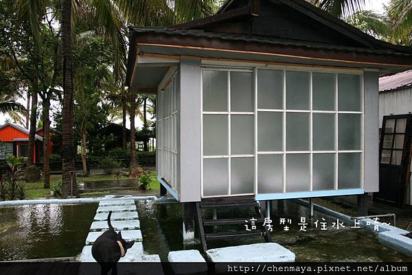 IMG_6599.JPG IMG_6599.JPG