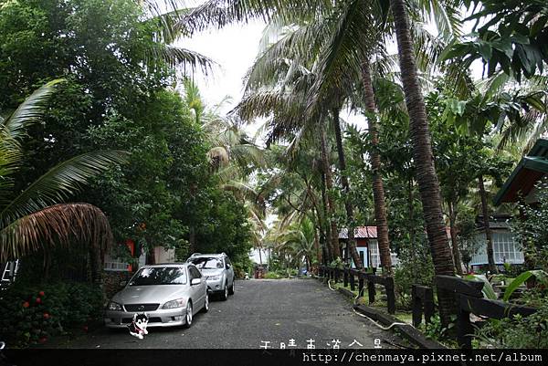 IMG_6602.JPG IMG_6602.JPG